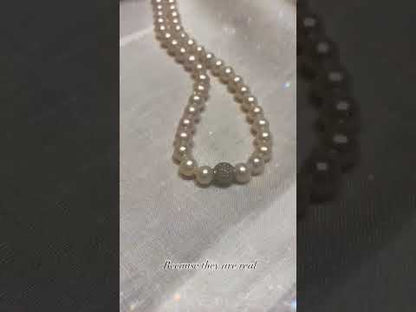 طقم الإرث